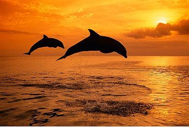 《弹丸论破》创作者新游《终天教团》公布游戏预告片